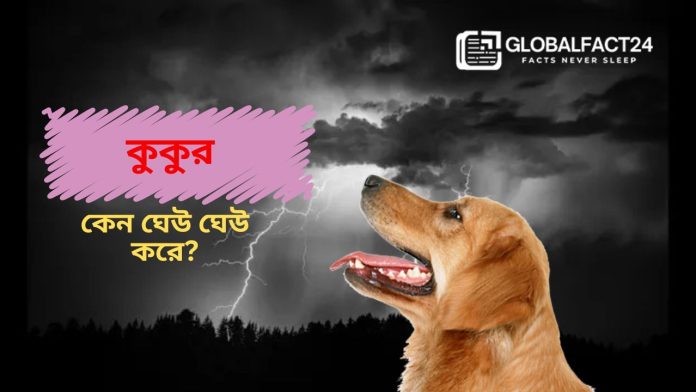 কুকুর কেন ঘেউ ঘেউ করে