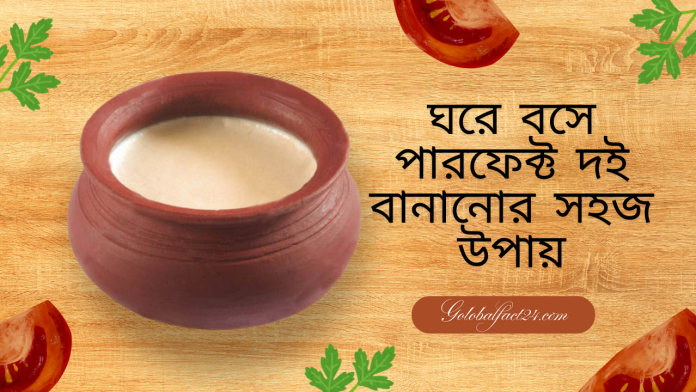 ঘরে বসে পারফেক্ট দই বানানোর সহজ উপায়