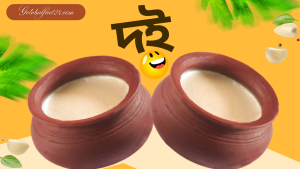 দই-বানানোর-সহজ-উপায়