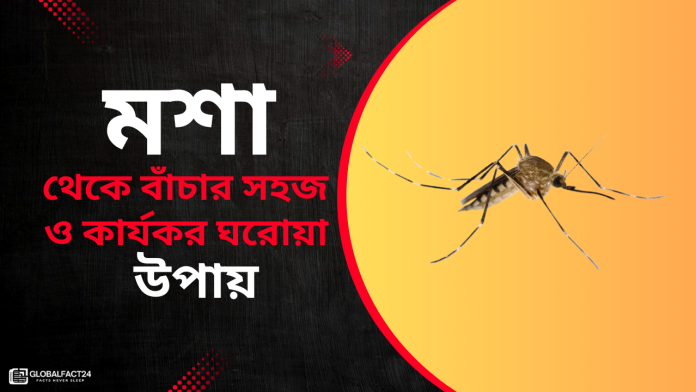মশা থেকে বাঁচার সহজ ও কার্যকর ঘরোয়া উপায়