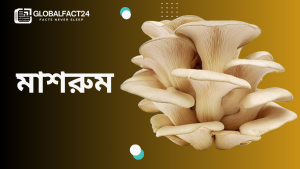 মাশরুম চাষ