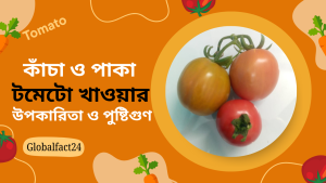 টমেটোর পুষ্টিগুণ