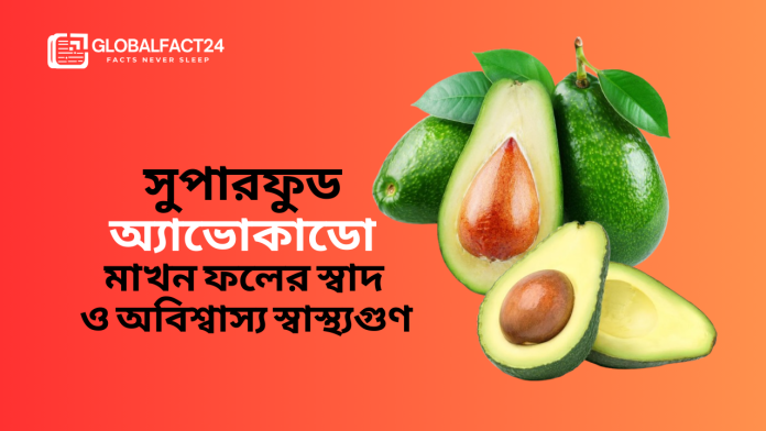 সুপারফুড-অ্যাভোকাডো-মাখন-ফলের-স্বাদ-ও-অবিশ্বাস্য-স্বাস্থ্যগুণ