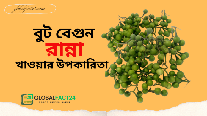 বুট বেগুন রান্না খাওয়ার উপকারিতা
